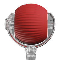 Placeholder: red ridged rolling ball dog toy in clear housing, close-up