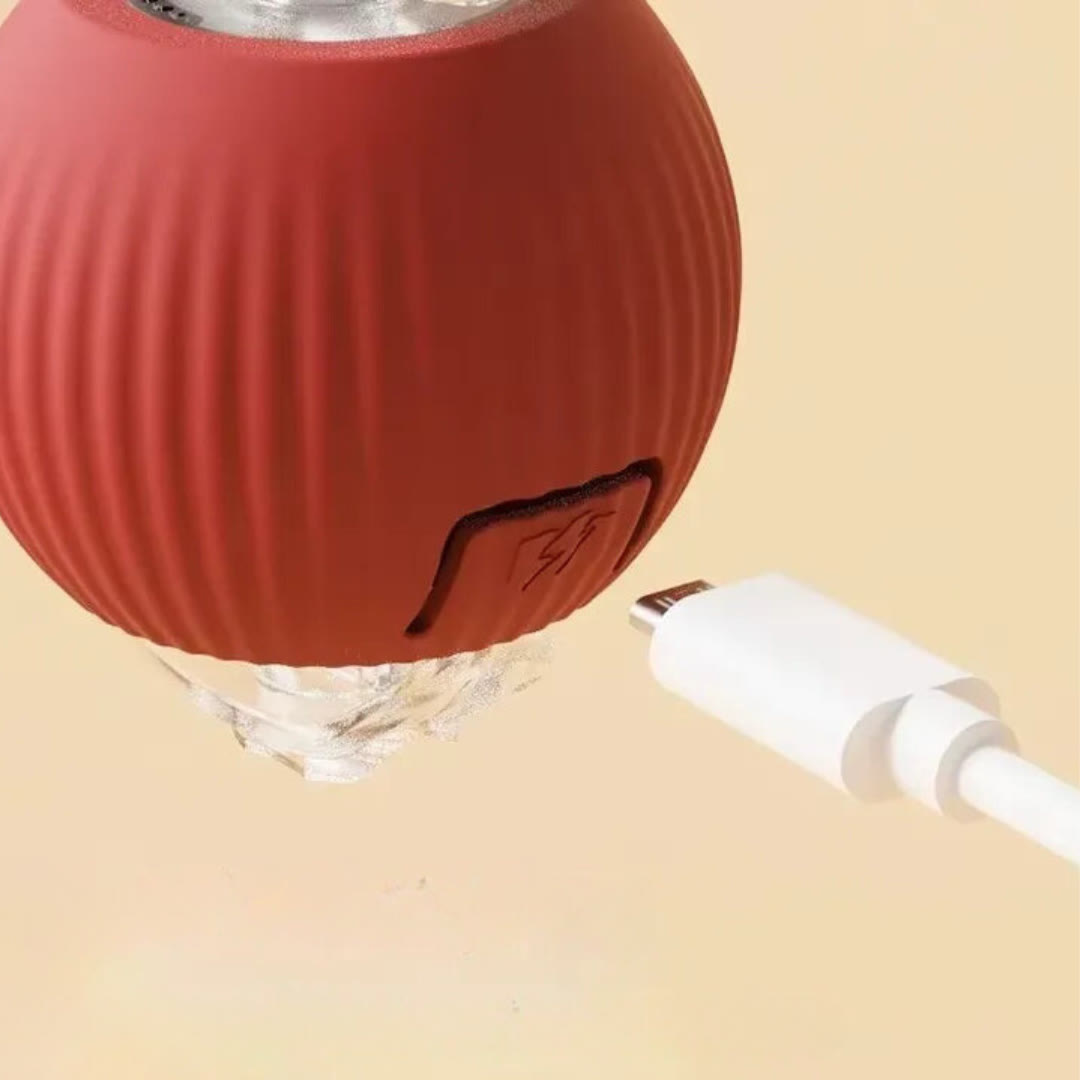 Placeholder: red rolling ball dog toy with USB charging cable, close-up of charging port