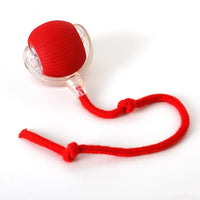 Placeholder: red rolling ball dog toy with knotted red rope tail on white background