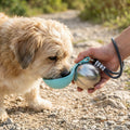 Placeholder: small dog drinking from the 2-in-1 travel water bottle's silicone bowl outdoors
