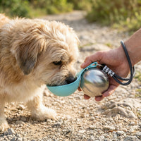 Placeholder: small dog drinking from the 2-in-1 travel water bottle's silicone bowl outdoors