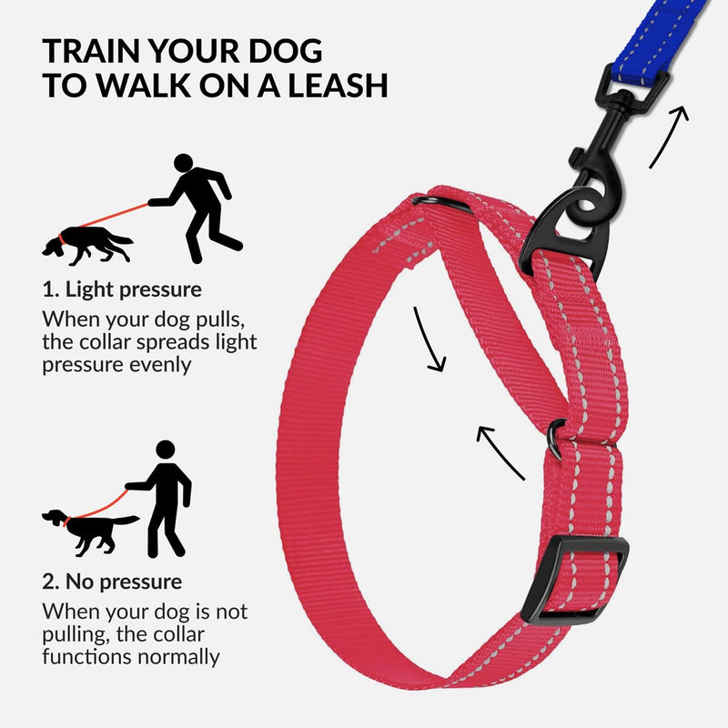 Placeholder: martingale collar with lead showing limited-slip action (CollarDirect via PetVita image)