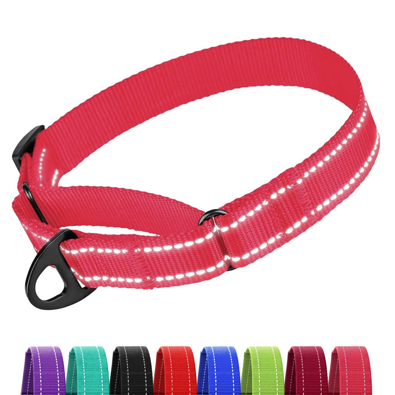 Placeholder: reflective martingale dog collar with colour swatches (CollarDirect via PetVita image)