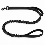 Luvly Jubbly bungee dog lead in black on a white background