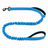 Luvly Jubbly bungee dog lead in blue on a white background