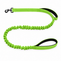 Luvly Jubbly bungee dog lead in light green on a white background