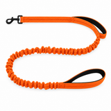 Luvly Jubbly bungee dog lead in orange on a white background