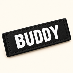 Custom name patch — example name BUDDY
