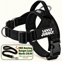 Luvly Jubbly black harness with free matching bungee lead worth £19.99