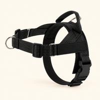 Luvly Jubbly solid-colour harness — black
