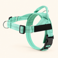 Luvly Jubbly solid-colour harness — green