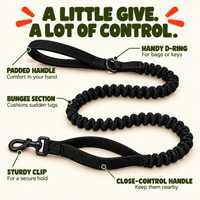 Luvly Jubbly — Bungee lead features