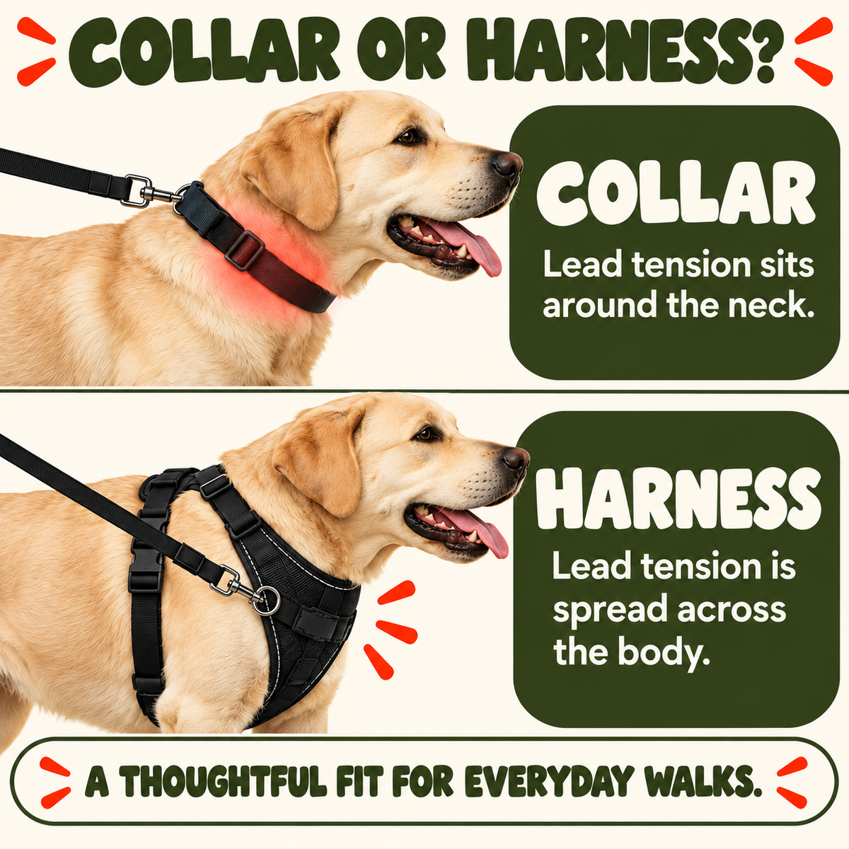 Luvly Jubbly — Collar and harness comparison