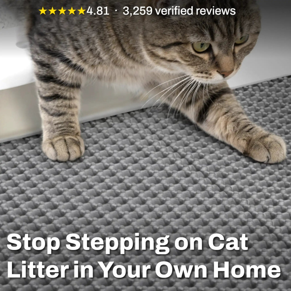 Placeholder: grey honeycomb cat litter mat with cat stepping out of litter box