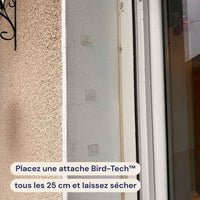 Placeholder: clear adhesive fasteners on a wall next to window frame