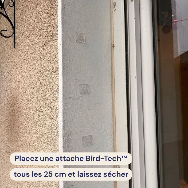 Placeholder: clear adhesive fasteners on a wall next to window frame