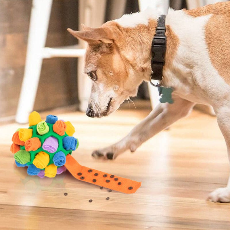 Placeholder: dog sniffing a green snuffle ball toy with treats on an unrolled fleece strip